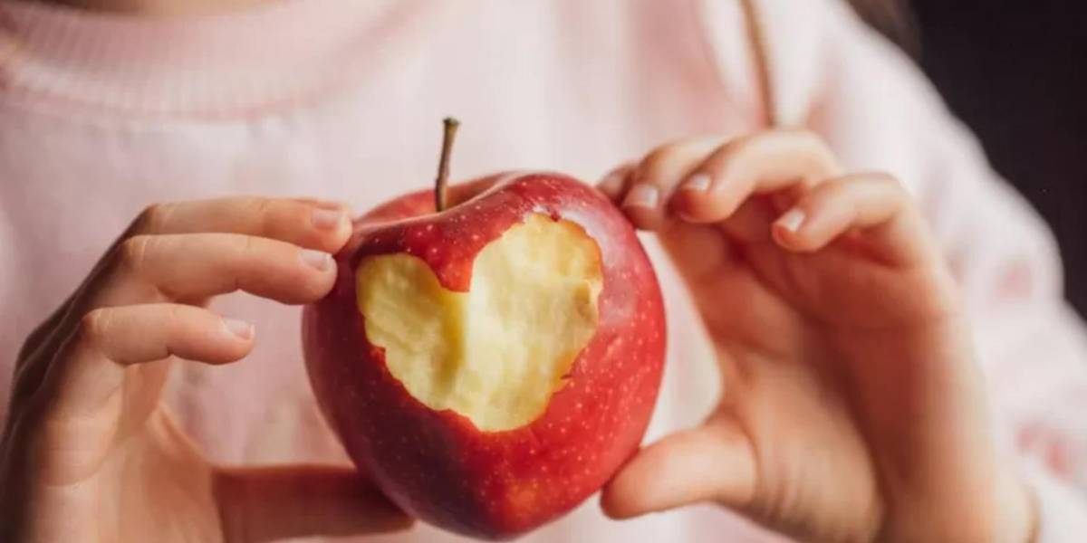 Los alimentos que deberían formar parte de la dieta diaria de los niños hasta los 5 años