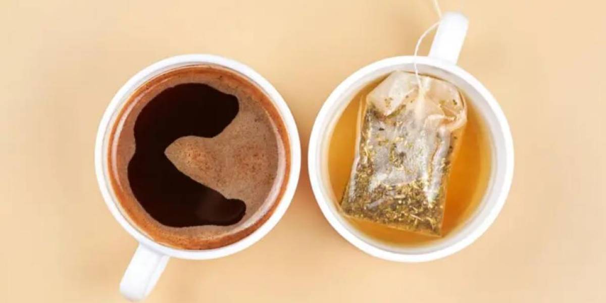 Café o té, ¿cuál es más beneficioso para nuestro organismo?