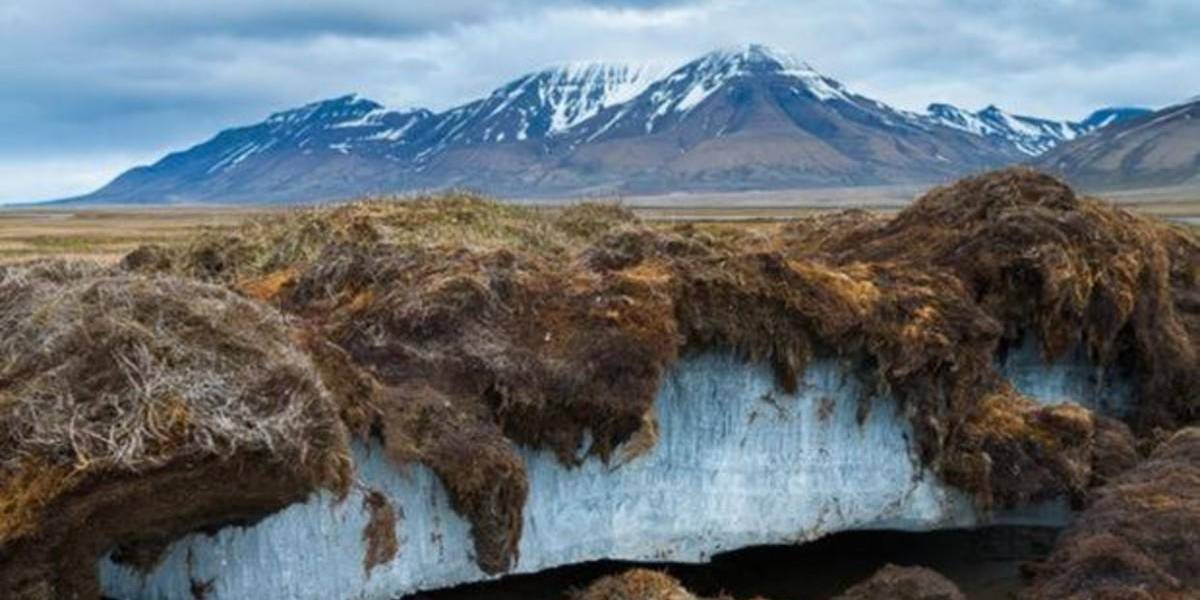 'Virus zombies' a causa del calentamiento global, ¿cuán real es la amenaza?