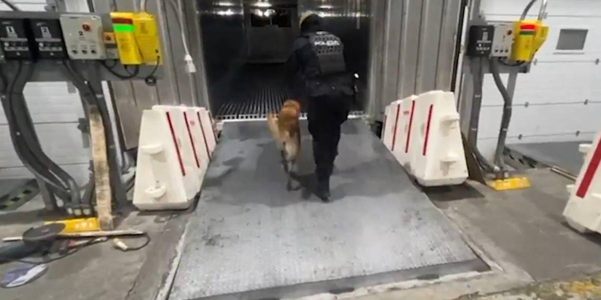 Ecuador decomisa 246 kilos de cocaína, en un contenedor de mercancías, con destino a Bélgica