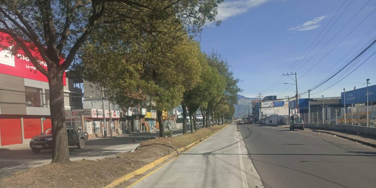 Pico y placa en Quito: las restricciones de movilidad para este jueves 5 de octubre