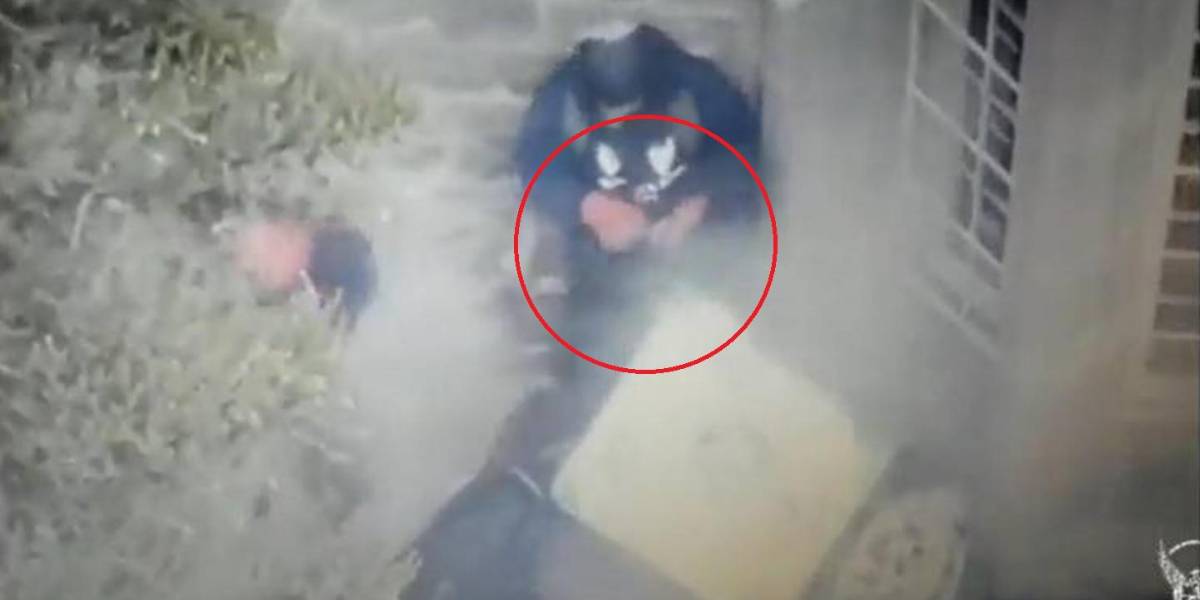 Paro nacional: Manifestantes irrumpieron en la Embajada de Egipto en Quito