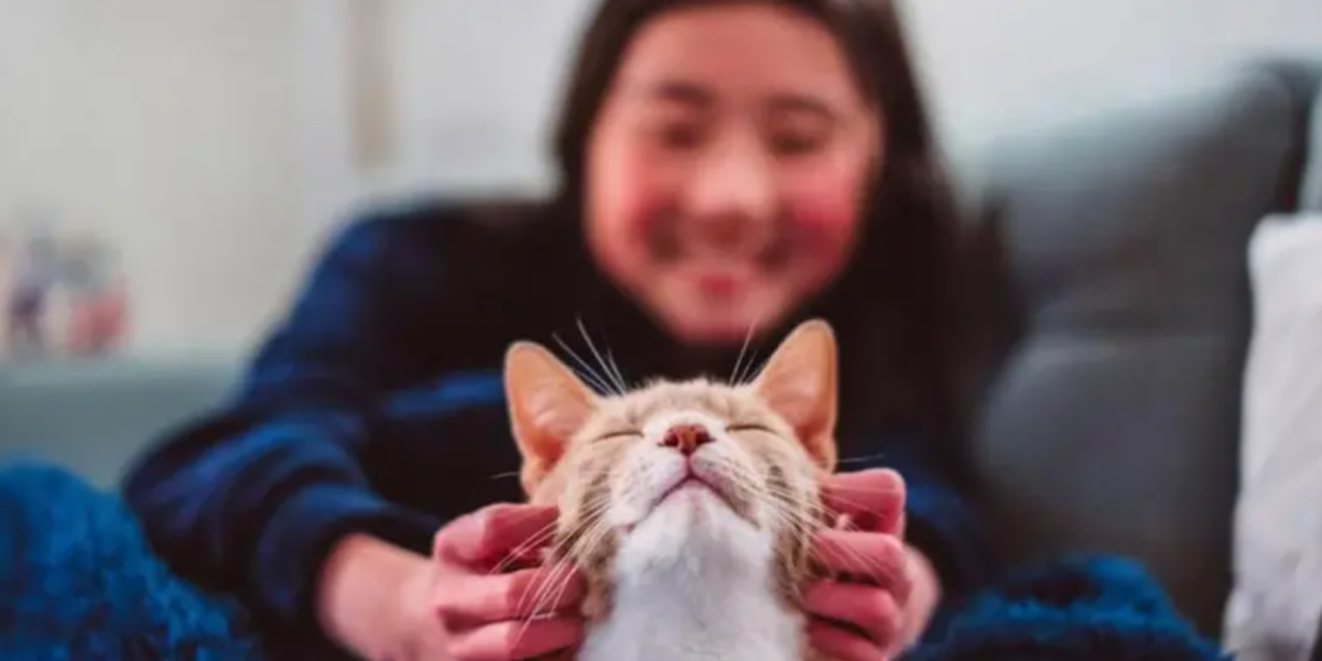 Los gatos se convirtieron en nuestras mascotas mucho más tarde de lo que se pensaba (y todos provienen de la misma especie)