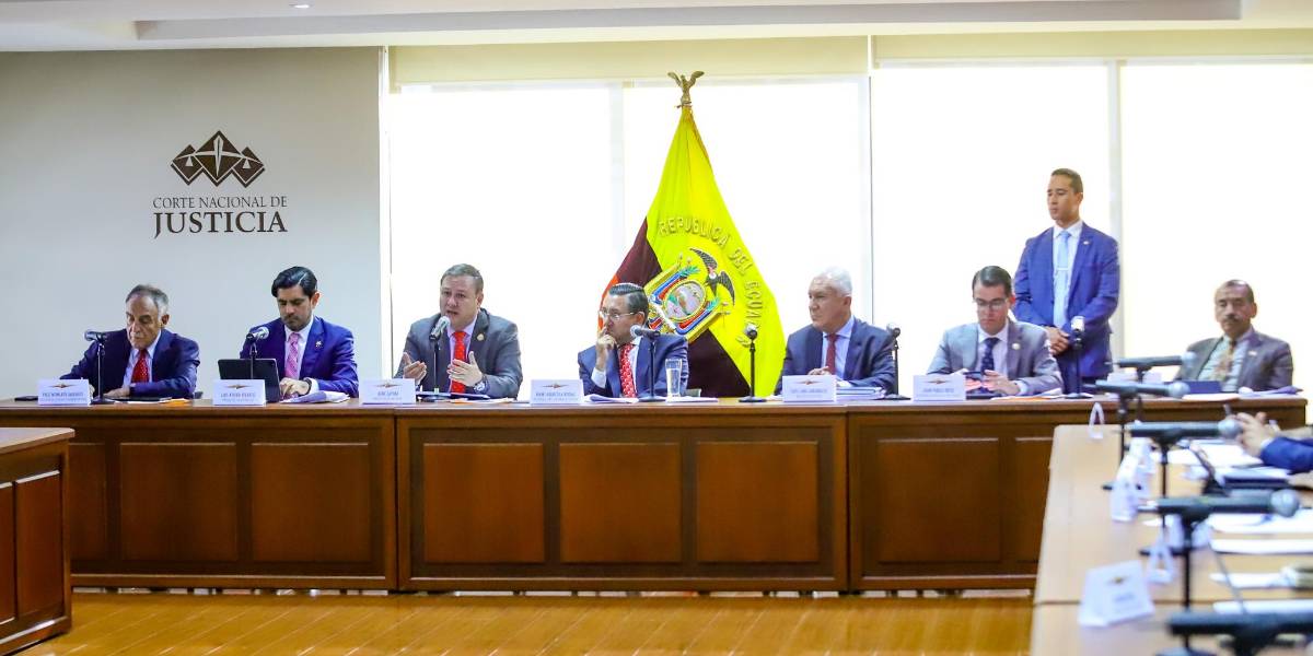 Los jueces de las cortes provinciales no tramitarán casos de delincuencia organizada y corrupción