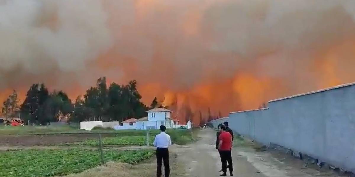 Quito: bomberos atienden un incendio forestal de gran magnitud en Puembo, Pifo y Oyambarillo. Otro fue controlado en El Trébol