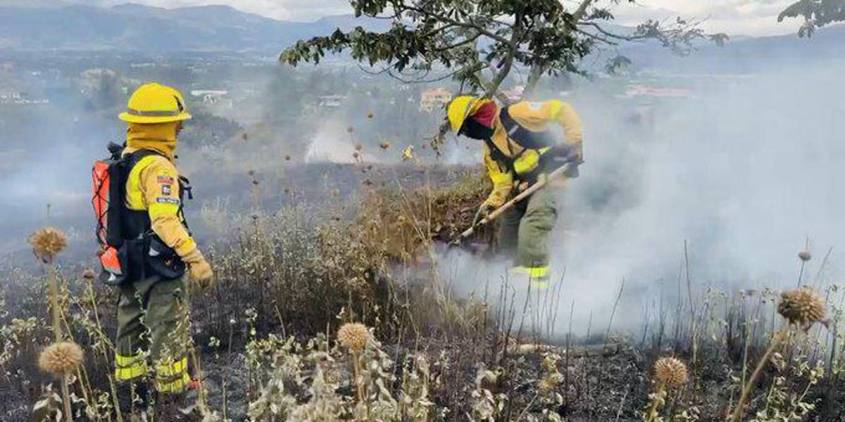 Quito: un incendio forestal se reportó en Nayón, este 20 de agosto