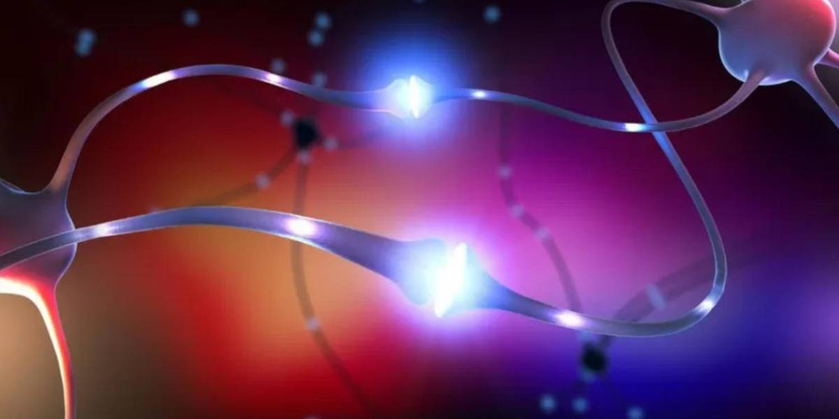 Cuáles son los beneficios del ayuno de dopamina y qué pasa en tu cerebro cuando te abstienes del exceso de placer