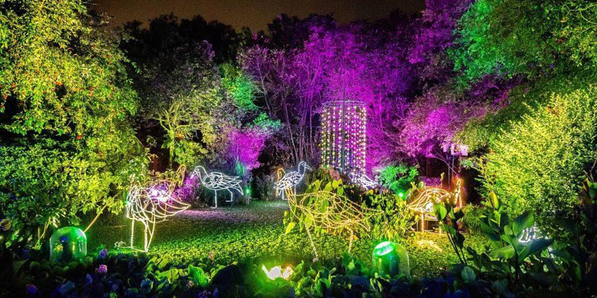 El Jardín Botánico de Quito ofrecerá un recorrido con iluminación; la taquilla será donada para reforestación
