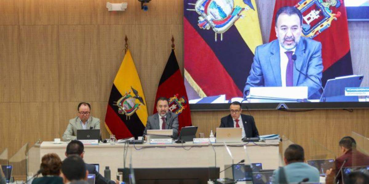 Quito: el Concejo Metropolitano solicita al Gobierno abstenerse de la suscripción de fideicomiso para la Empresa Eléctrica