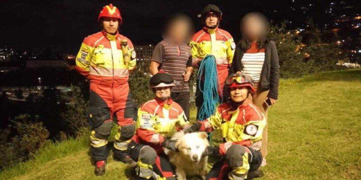 Los bomberos rescataron a perros que cayeron en quebradas de diferentes sectores del sur de Quito