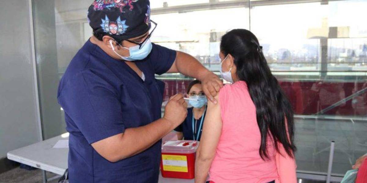 Nueve consejos para evitar contagiarse de Pirola, la nueva variante del covid-19