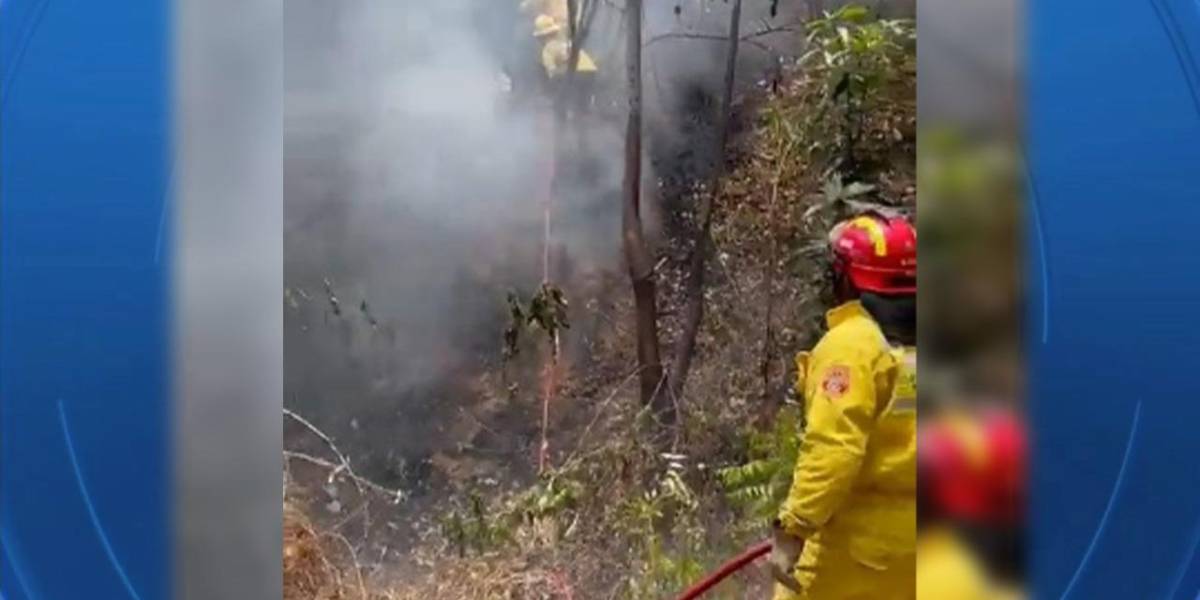 2 incendios forestales en menos de 24 horas en el cerro Colorado, norte de Guayaquil