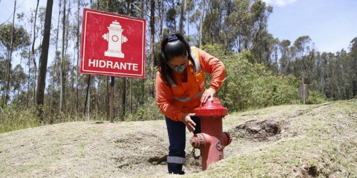 Quito: los 15 parques metropolitanos son monitoreados para prevenir incendios forestales
