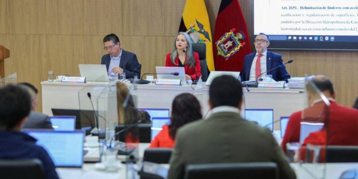 El Concejo Metropolitano de Quito analiza exonerar del Pico y placa a los cuidadores de personas con discapacidad