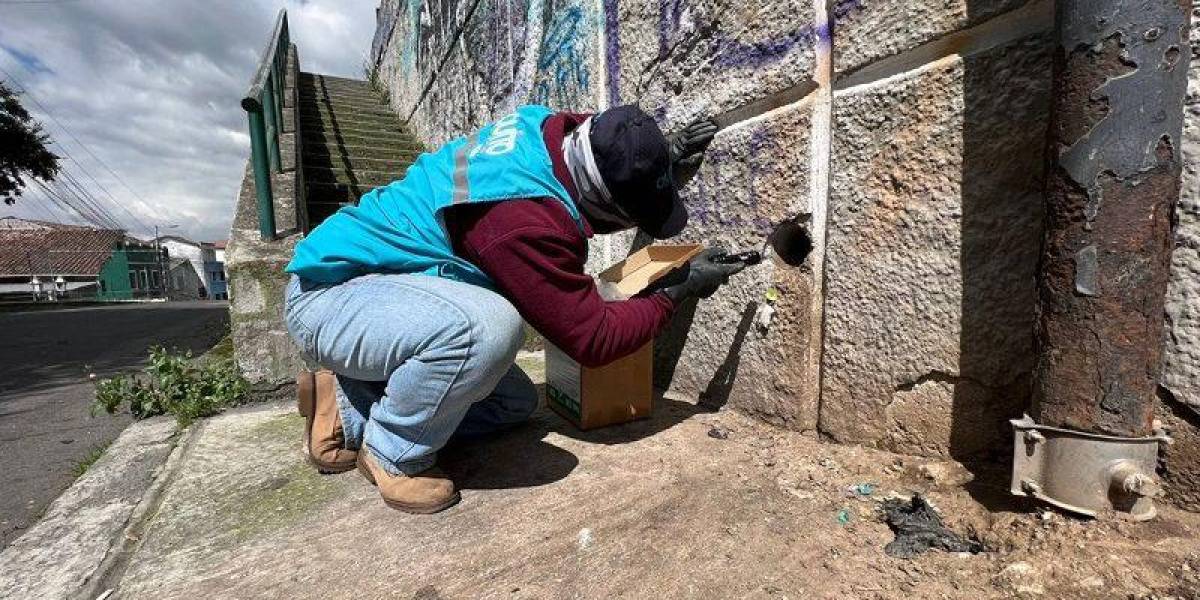 Metro de Quito: controles de roedores y plagas en las estaciones del centro