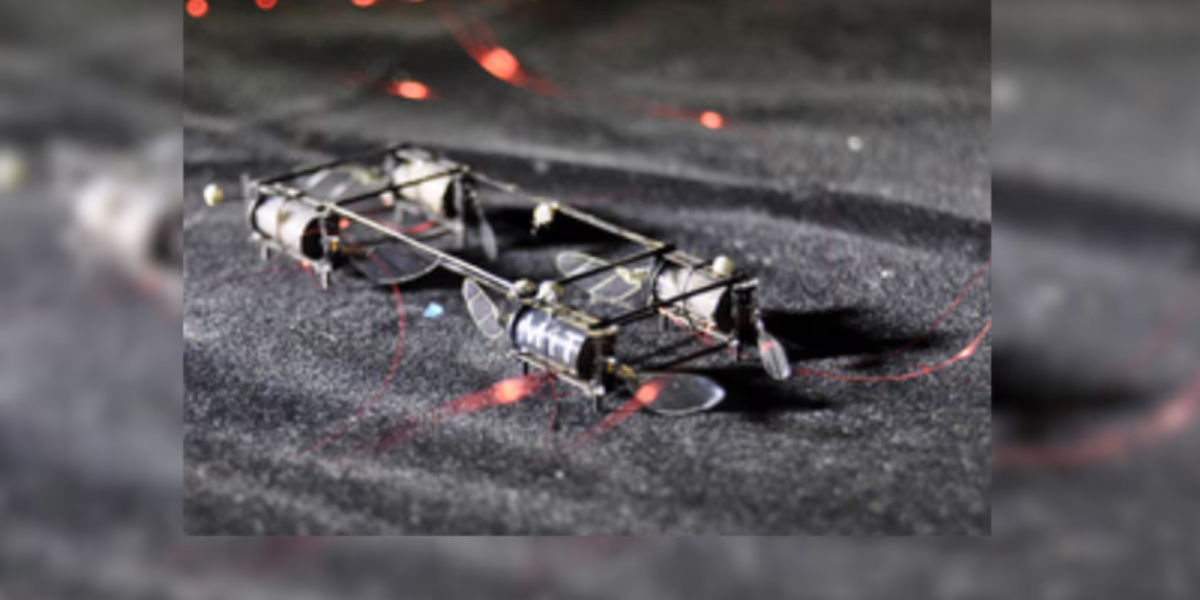 Un robot insecto que podría polinizar cultivos y explorar Marte