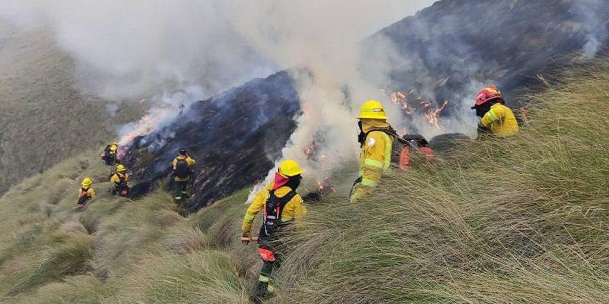 8 280 hectáreas destruidas por incendios forestales en los últimos seis años, en Quito