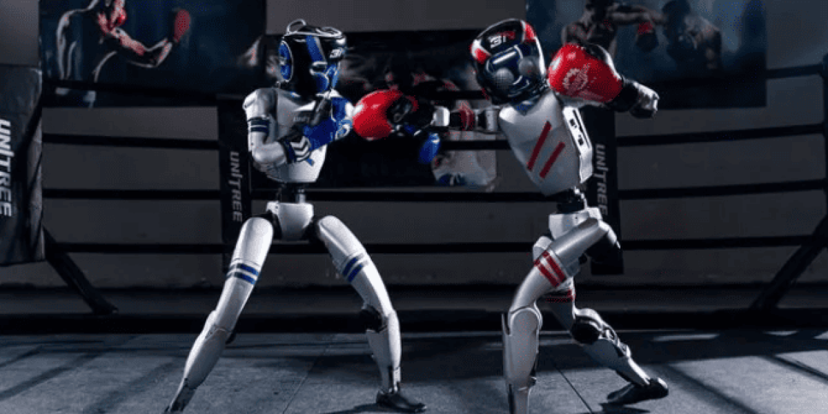 Torneo de box entre robots se vuelve una realidad en China