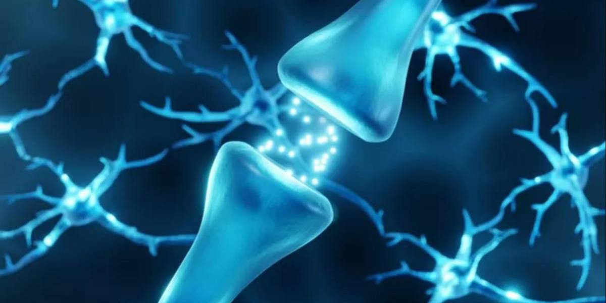 Dopamina, el neurotransmisor que nos da la felicidad, pero también nos la quita