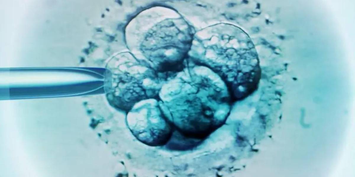 El bebé más viejo del mundo nace de un embrión congelado hace más 30 años en EE.UU.