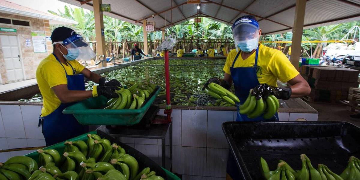 Ecuador no puede dejar de comerciar ni con EEUU ni con China, dice ministro de Producción