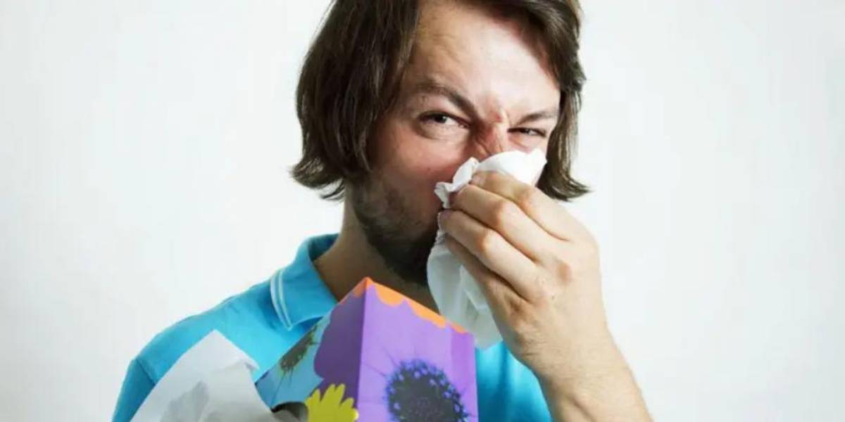 Científicos descubren un área desconocida de nuestro sistema inmunológico