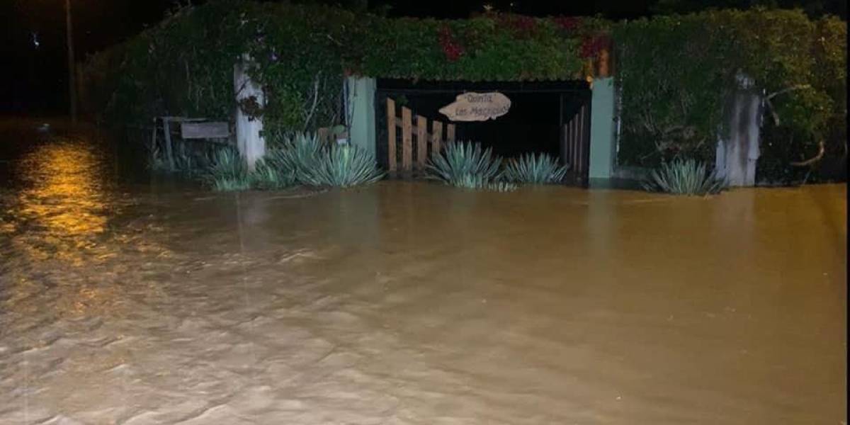 Propiedades afectadas por el desbordamiento del río Burgay, en Cañar y Azuay