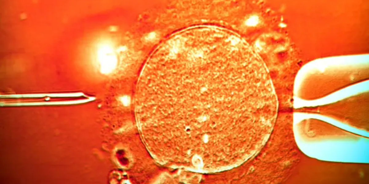 El esperma de un donante con un gen cancerígeno se utilizó para concebir a casi 200 niños: Varios desarrollaron tumores y algunos ya han muerto