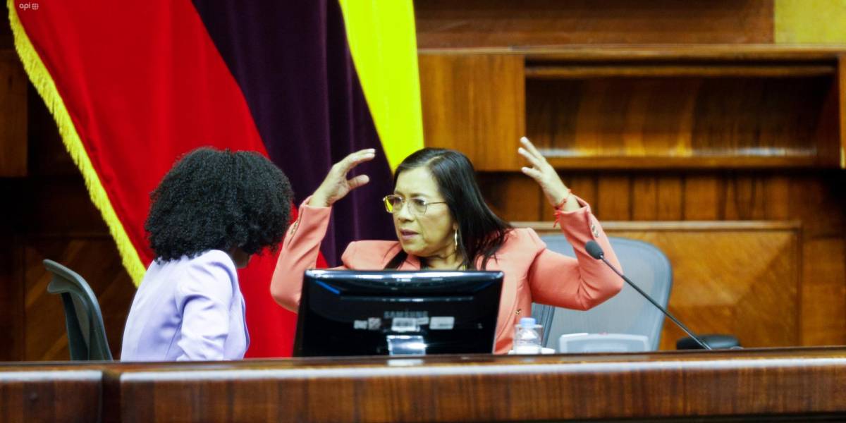 ¿Guadalupe Llori hizo un gesto obsceno en la Asamblea?
