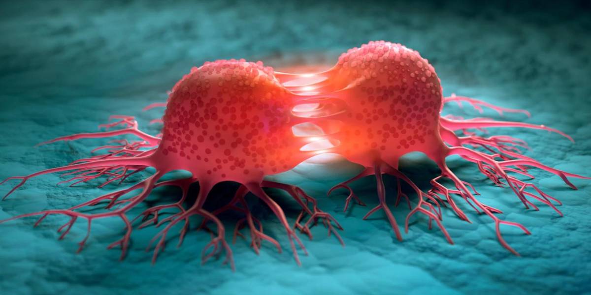 Esta es la proteína que está presente en todos los tipos de cáncer