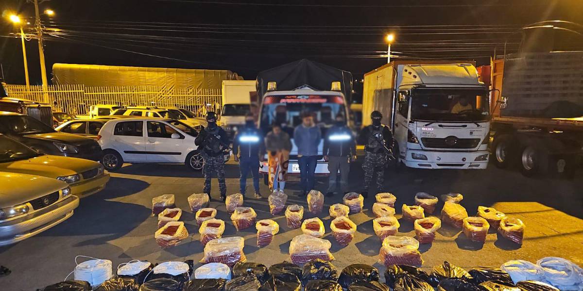 Carchi: Dos detenidos y más de 3 000 explosivos para grupos terroristas fueron decomisados