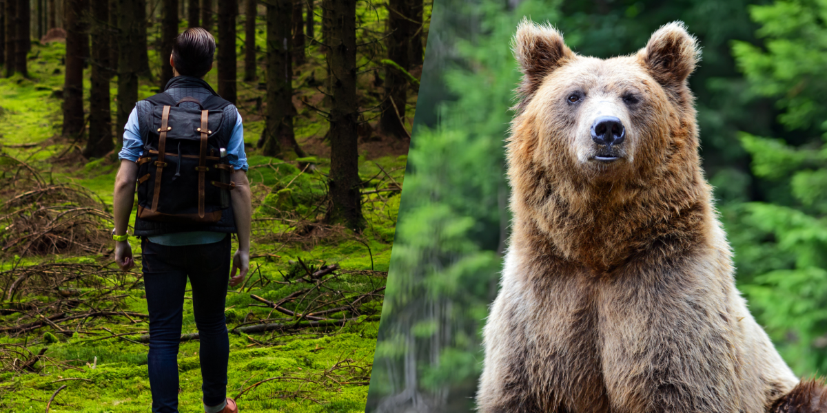 El polémico debate en las redes: ¿Hombre u oso en el bosque?