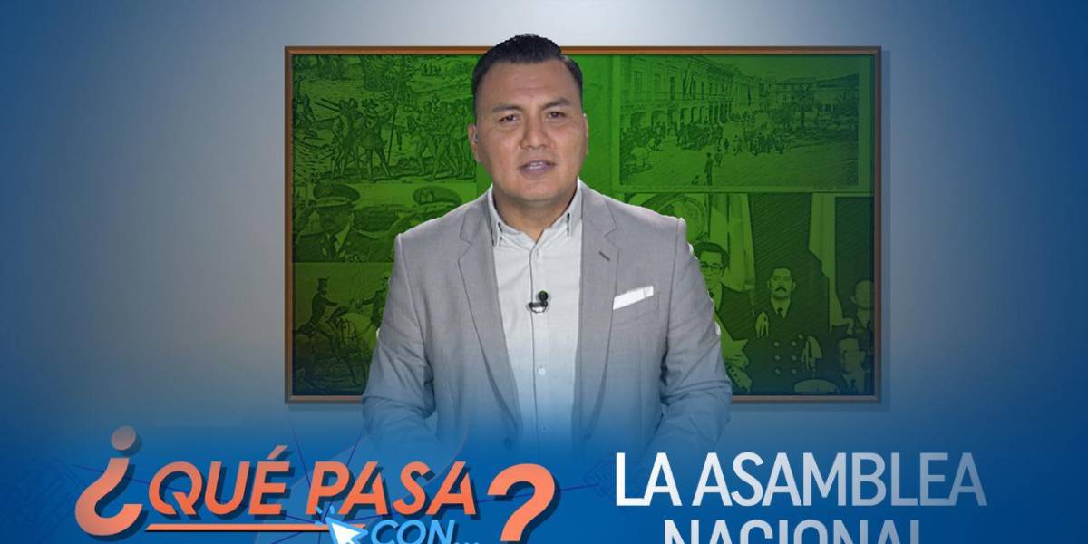 ¿Cómo ha cambiado la función legislativa en Ecuador?