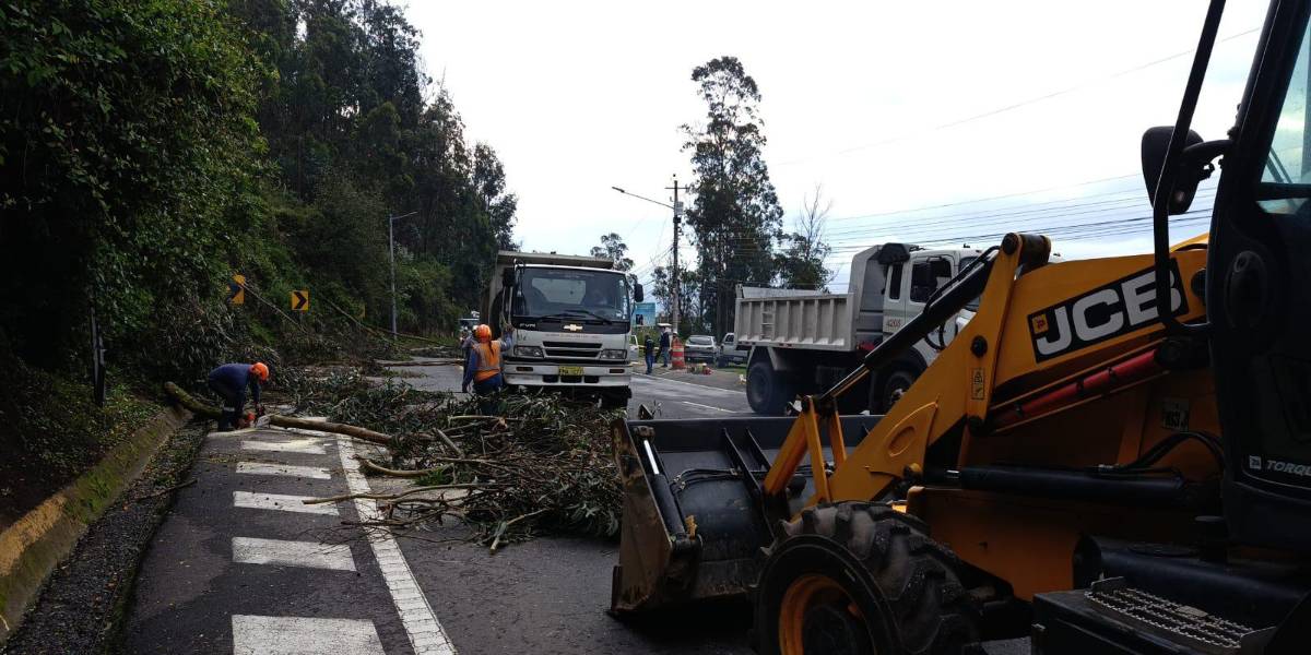 En Quito se han reportado lluvias seis veces más intensas que las del año pasado