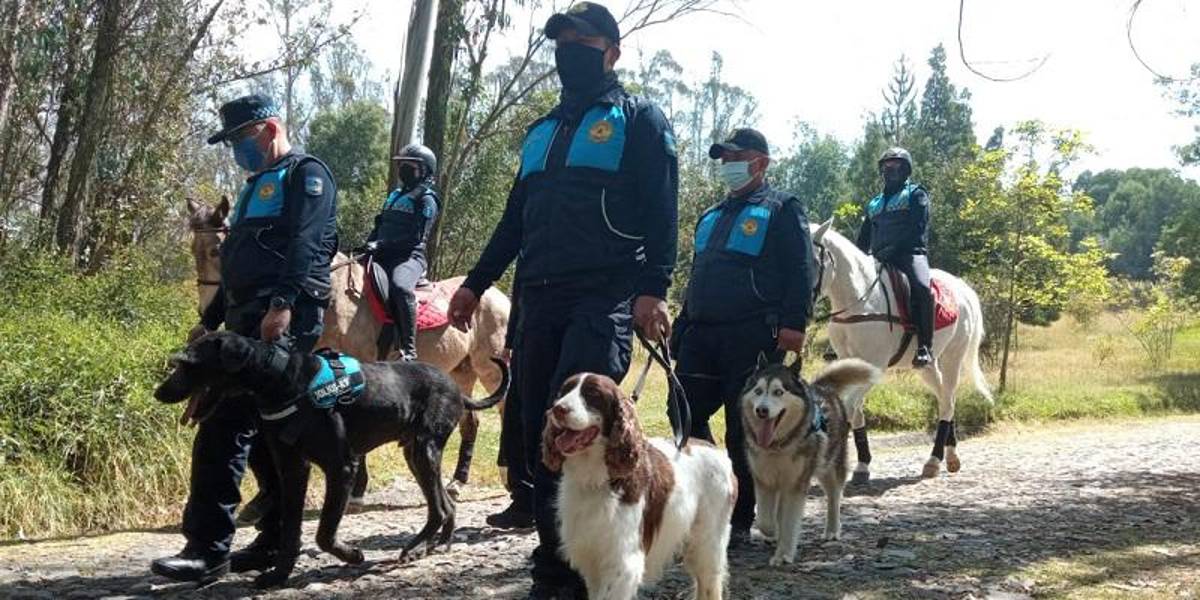 Municipio de Quito advierte que no permitirá que se atente contra el Parque Metropolitano Guangüiltagua