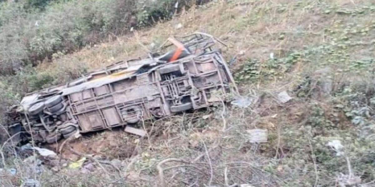 Perú: al menos 10 muertos tras la caída de un bus a un barranco cerca de la frontera con Ecuador