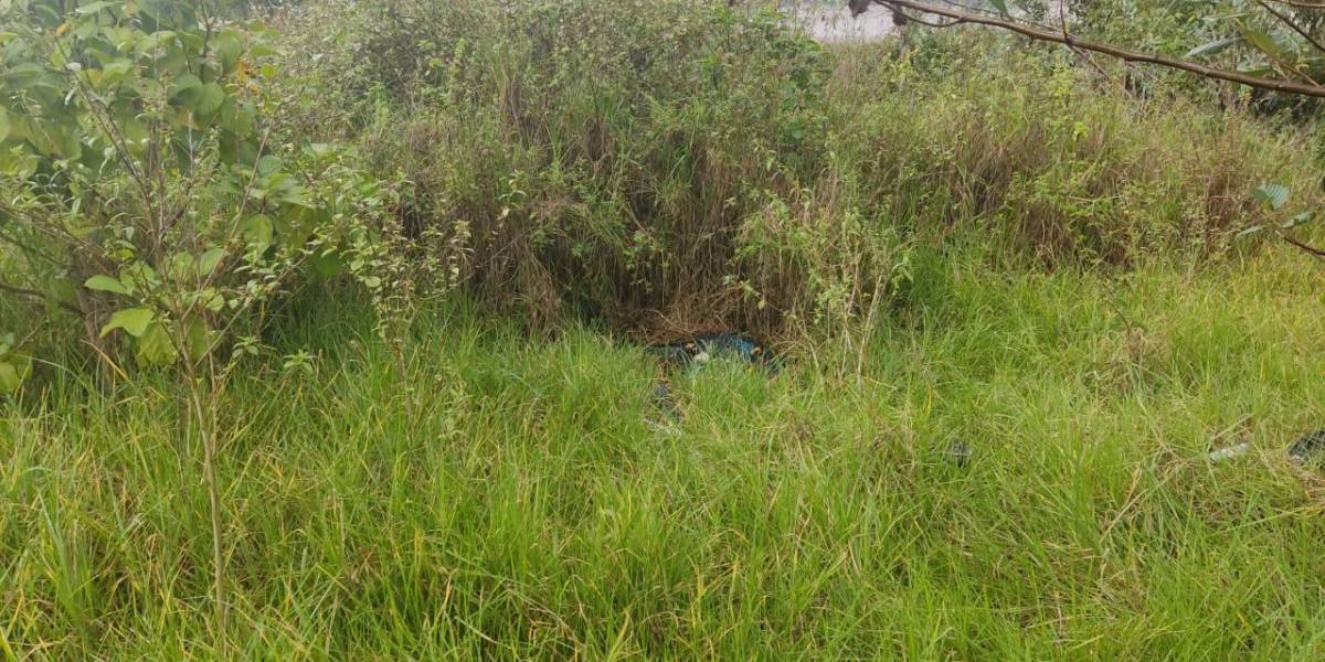 Quito: encuentran un cadáver en la Ruta Viva