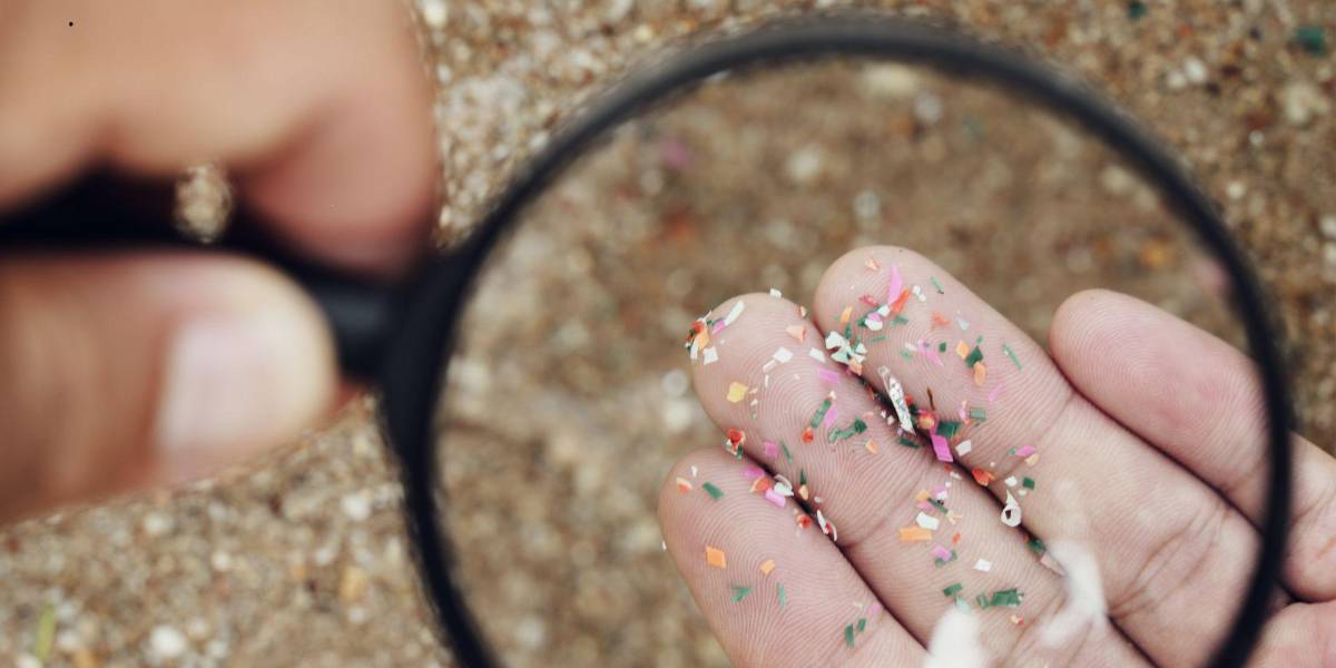 Un grupo de investigadores encontró microplásticos en penes de humanos