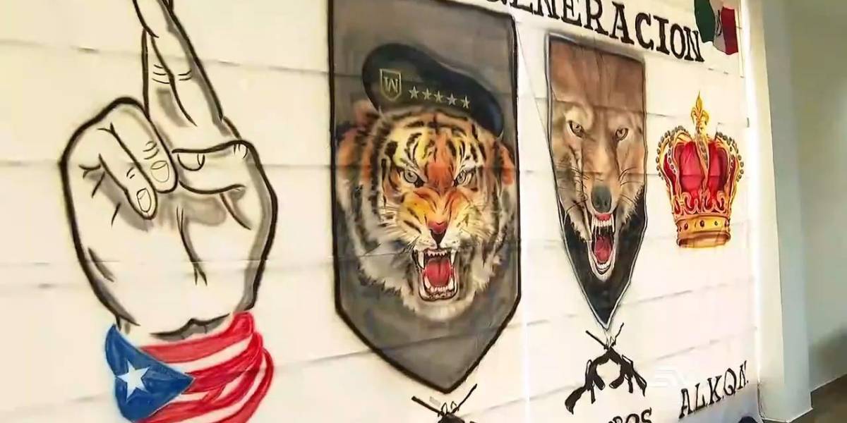 Así es la estructura criminal de Los Lobos, quienes tienen injerencia en la mitad de las cárceles de Ecuador