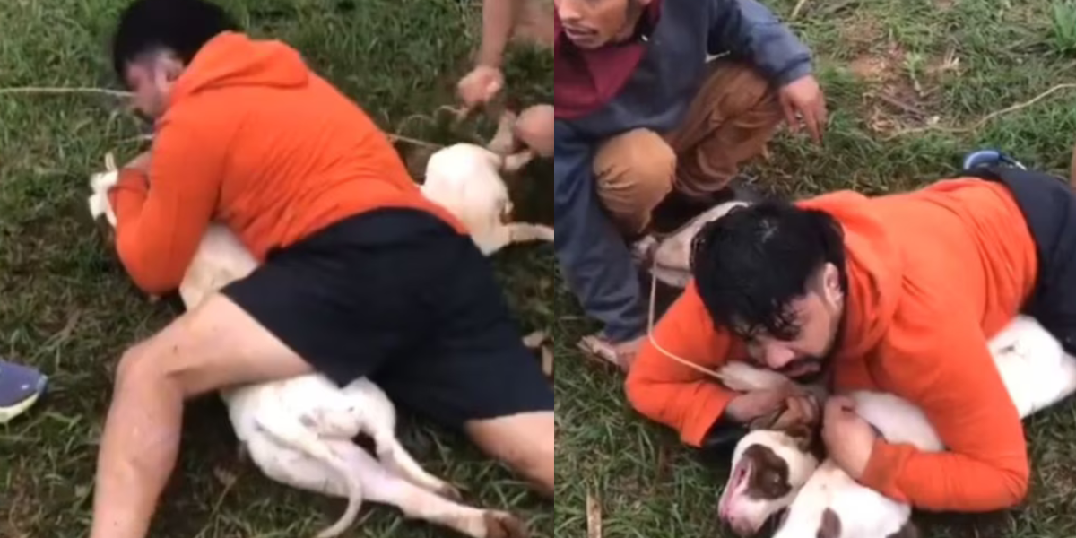 Usó jiu-jitsu para salvar su vida tras brutal ataque de dos pitbulls