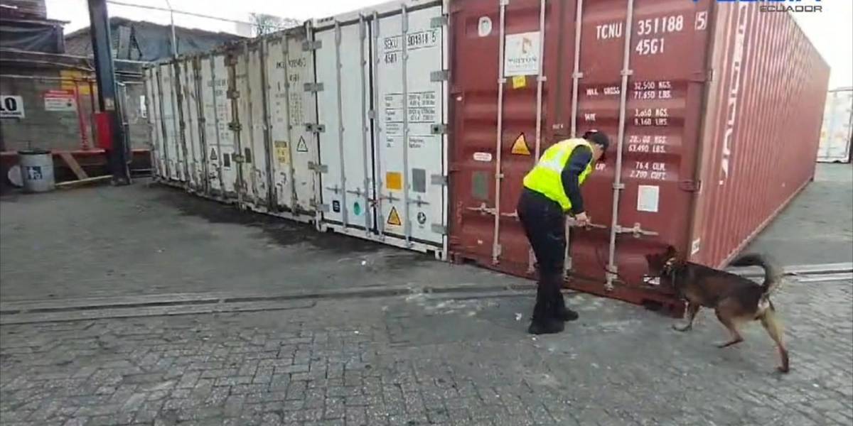 La Policía decomisa en Guayaquil media tonelada de cocaína que iba a España