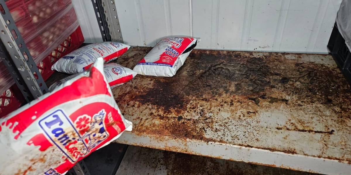 Ante plagas e insalubridad, un servicio de catering de Guayaquil fue clausurado por Arcsa