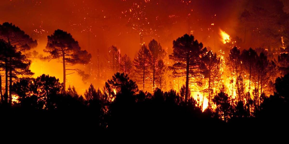 El mayor incendio activo en California ya ha quemado casi 200.000 hectáreas