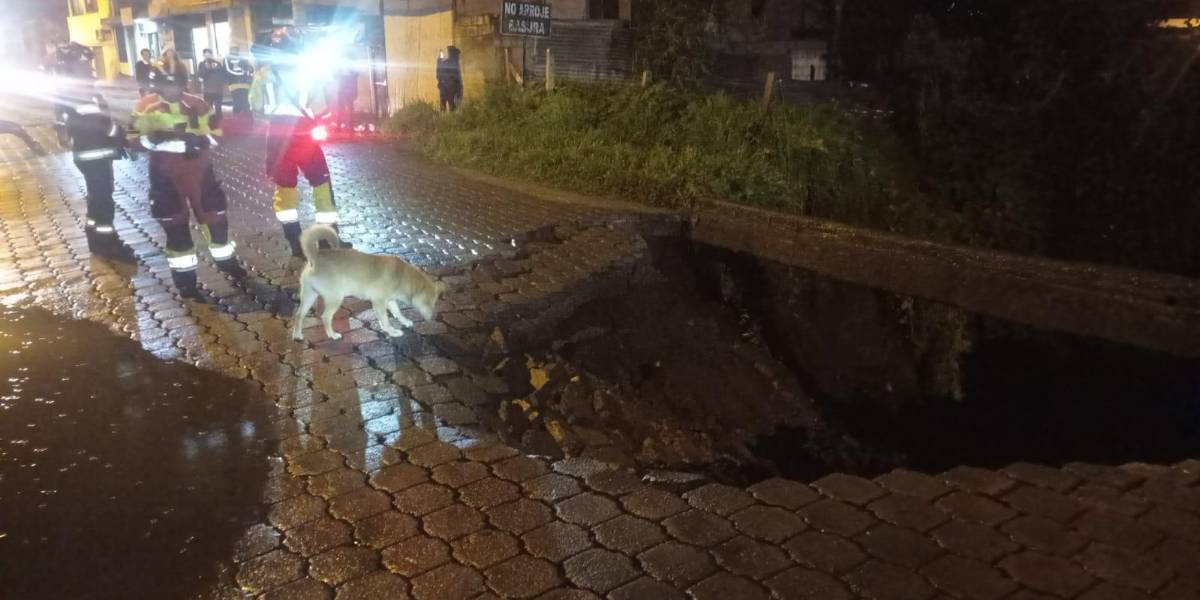 Intensas lluvias en Quito provocan el hundimiento de una vía y la caída de un árbol
