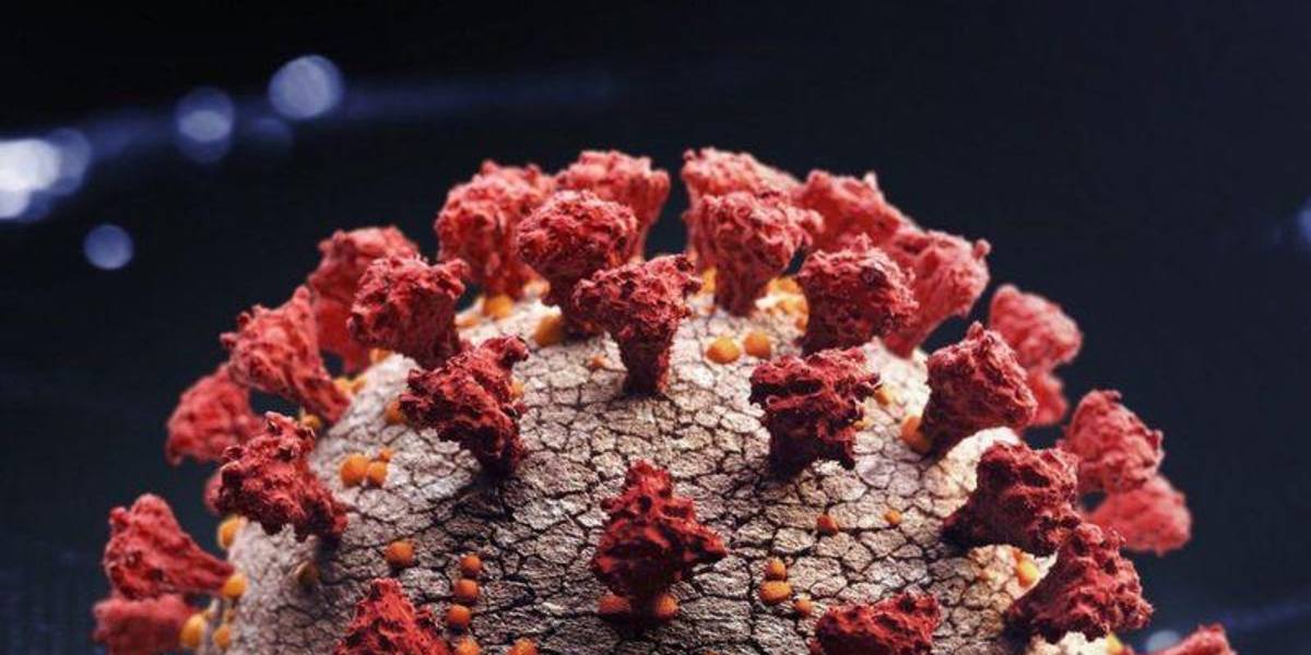 B.1.1.529: lo que se sabe de la variante del COVID-19 más mutada hasta ahora que fue descubierta en Sudáfrica