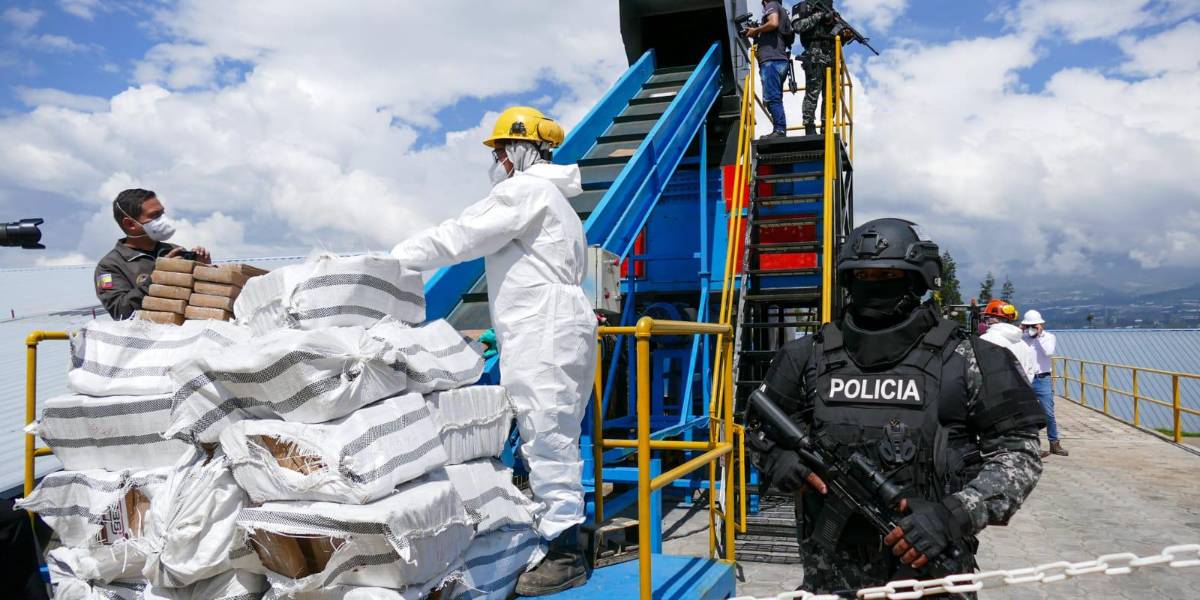 La Policía destruyó 302 toneladas de droga incautada durante 2024