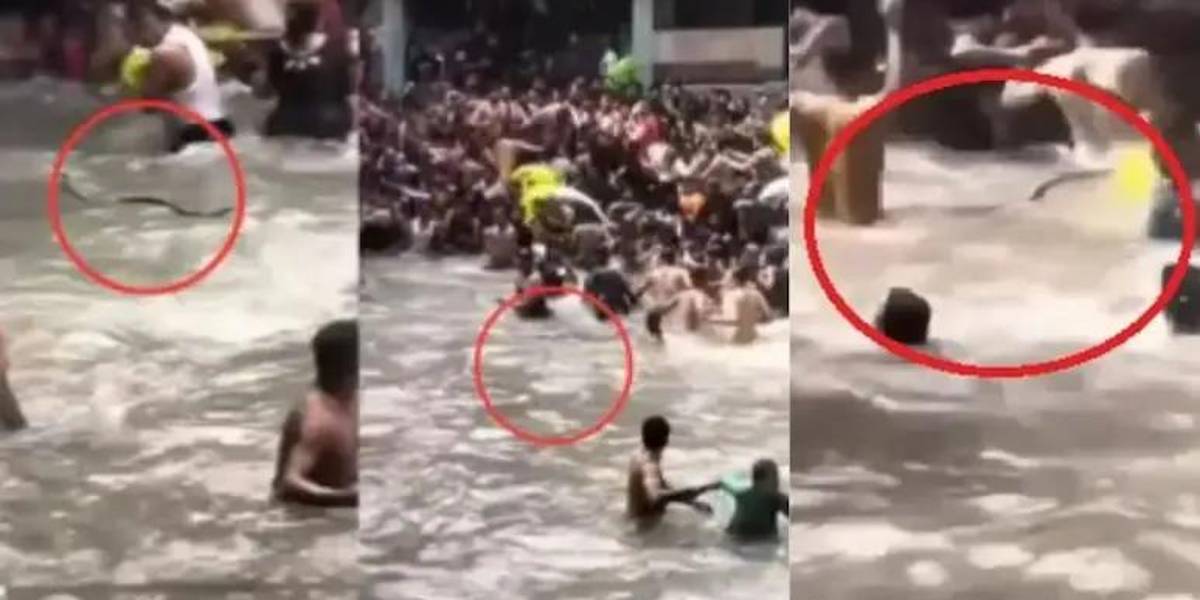 India: Serpiente causa caos en una piscina llena de personas