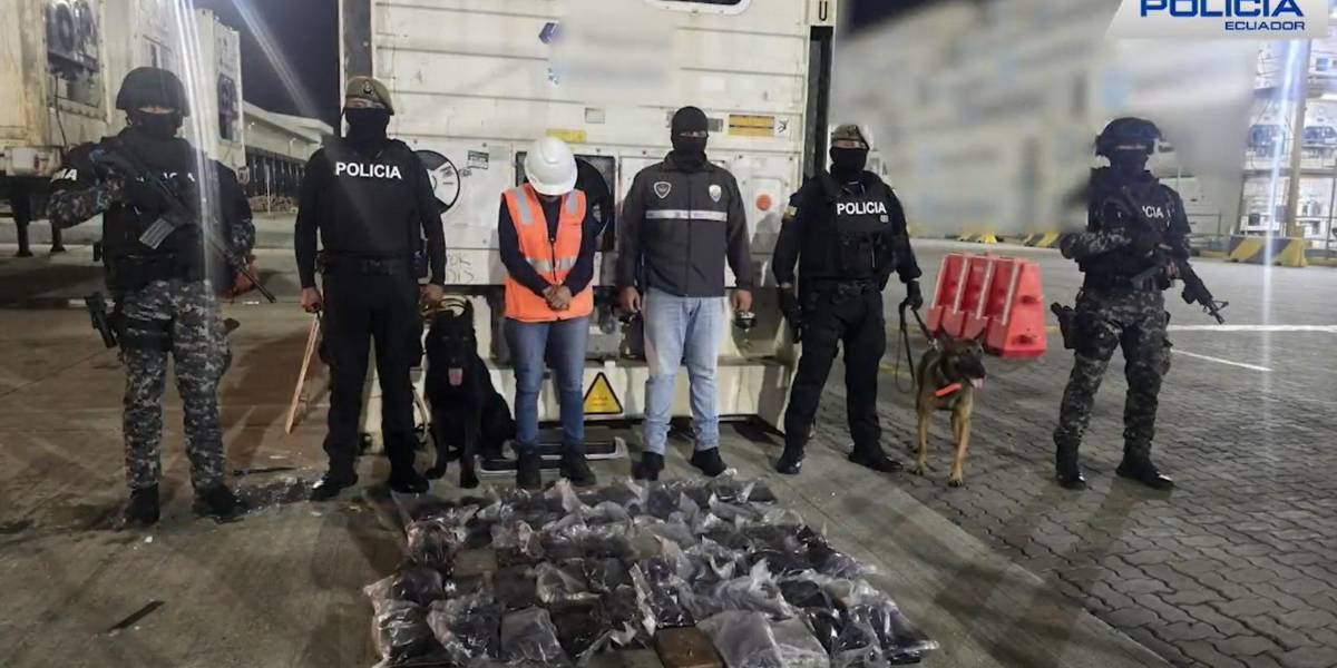 Dos canes detectaron droga oculta en contenedor que pretendía salir de Guayaquil