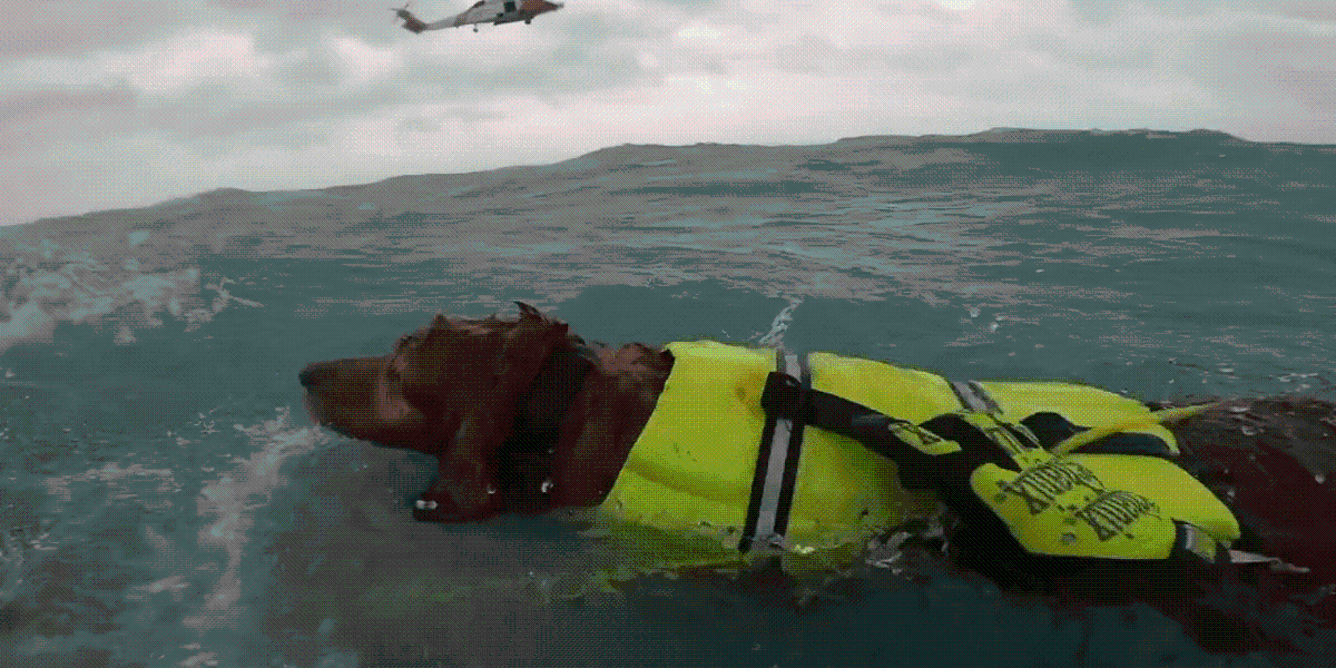 El viral video de un hombre y su perro siendo rescatados del huracán Helene