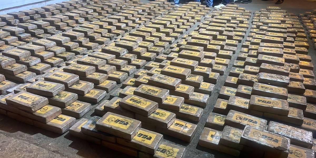El Oro: 847 paquetes de clorhidrato de cocaína fueron hallados en una empacadora de banano